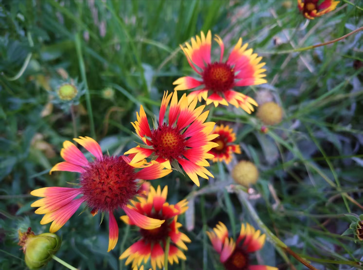 对青春期孩子“讲道理”有用吗？