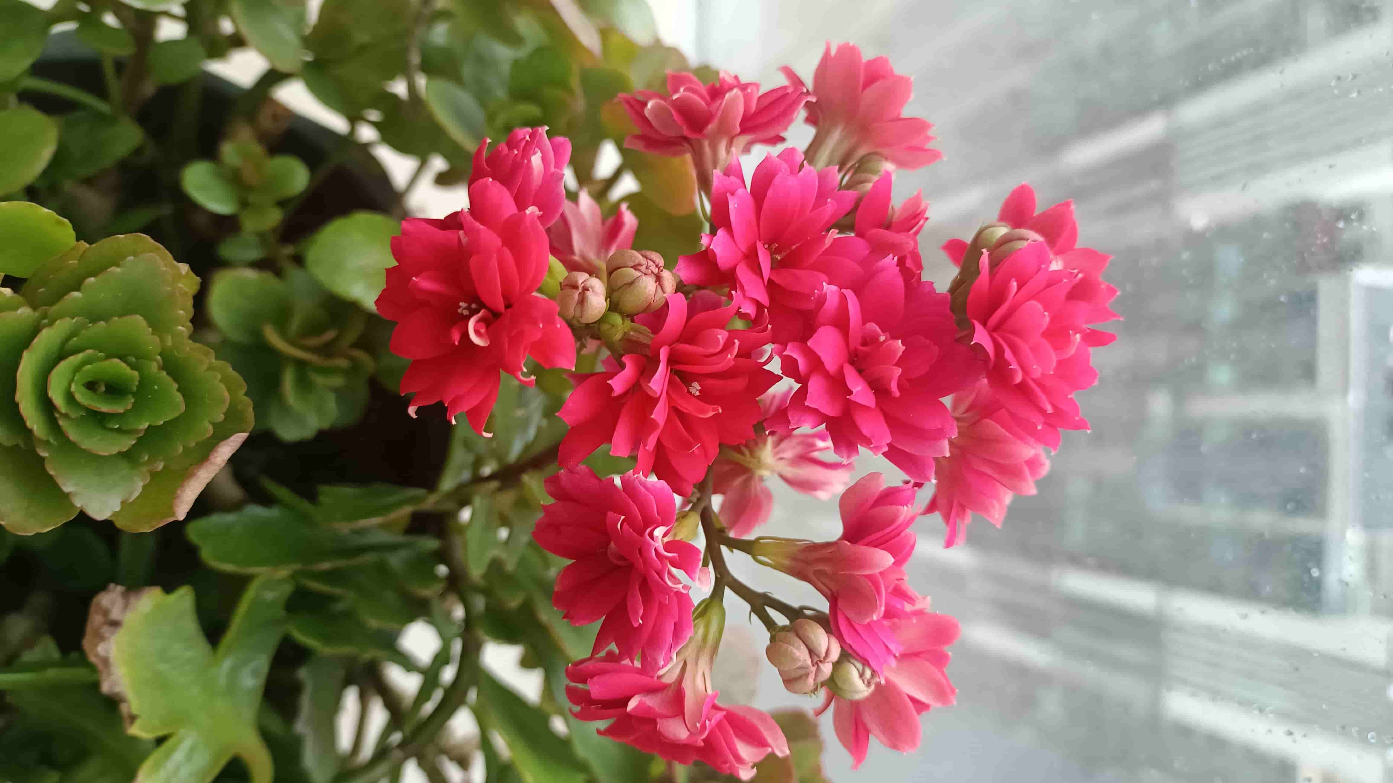 青春期“无意义感”背后的心理与现实因素