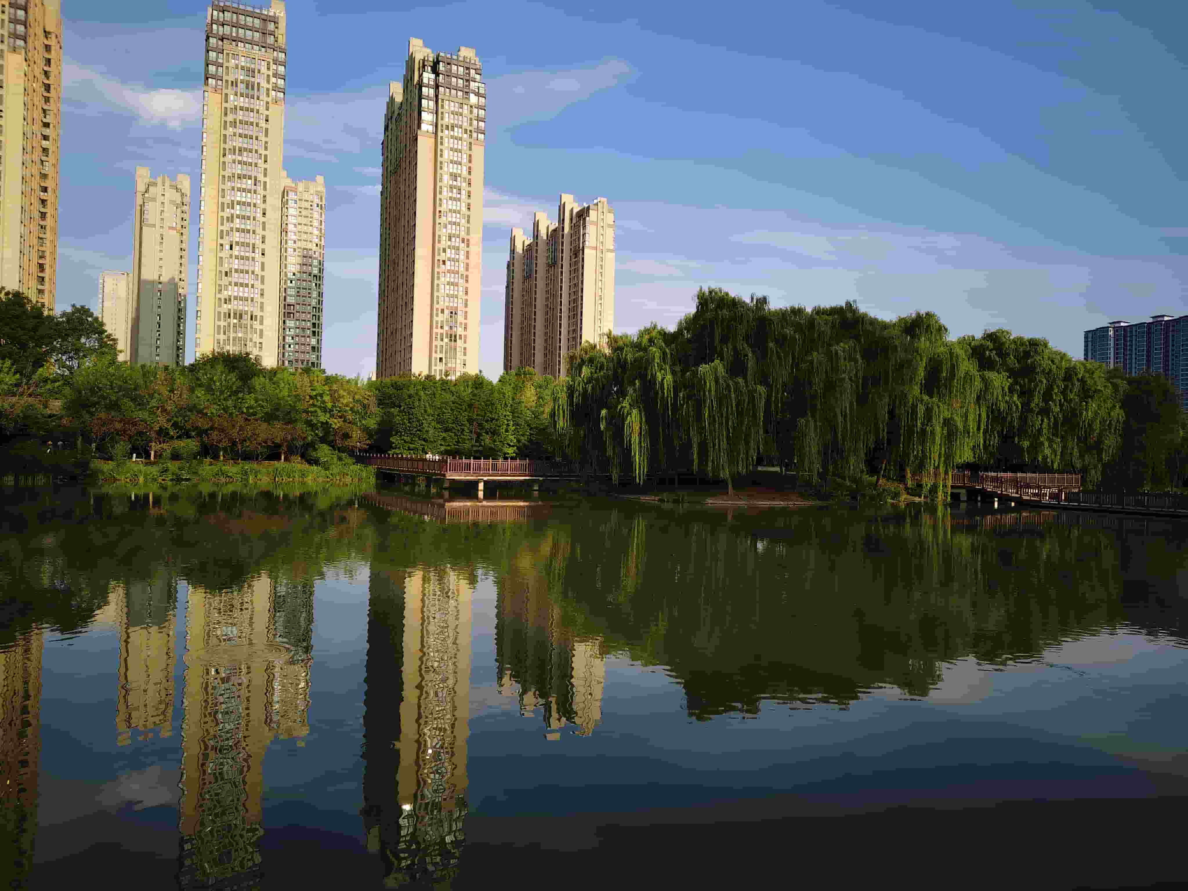 游戏成瘾的设计密码：为何青少年难以逃脱虚拟世界的引力？